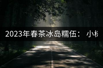 2023年春茶冰島糯伍： 小樹(shù)1300元／公斤，古樹(shù)：2100~2300元／公斤