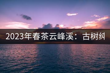 2023年春茶云峰溪：古樹純料：1200-1500元／公斤，古樹混采800-1000元／公斤，大樹500-800元／公斤，小樹300-500元／公斤
