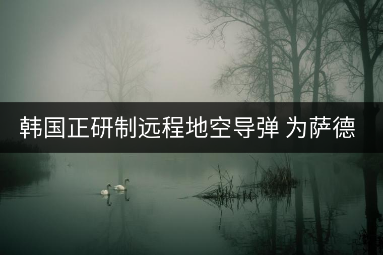 韓國(guó)正研制遠(yuǎn)程地空導(dǎo)彈 為薩德系統(tǒng)作補(bǔ)充