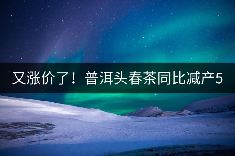 又漲價(jià)了！普洱頭春茶同比減產(chǎn)50%，薄荷塘一類鮮葉需當(dāng)面議價(jià)