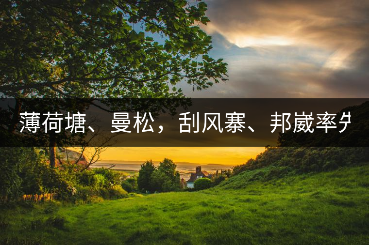 薄荷塘、曼松，刮風(fēng)寨、邦崴率先開采，2019普洱春季大戰(zhàn)開始了