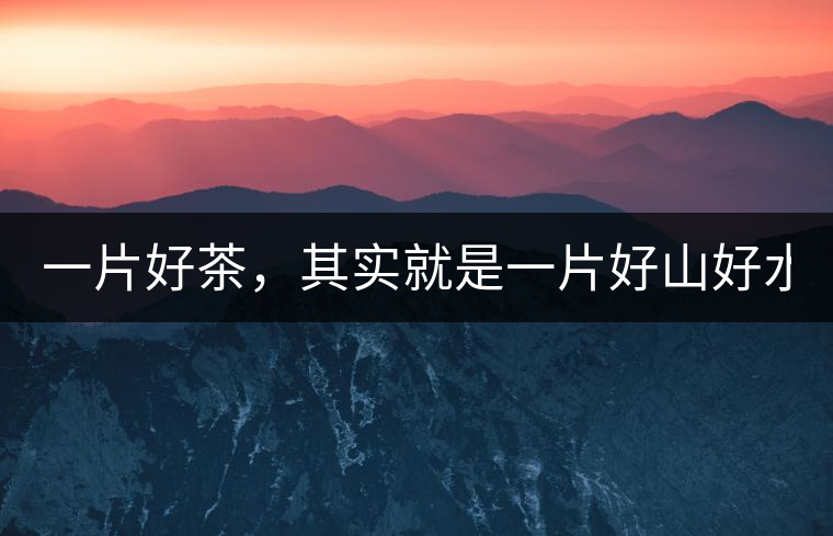 一片好茶，其實(shí)就是一片好山好水...一片好茶，其實(shí)就是一片好山好水...