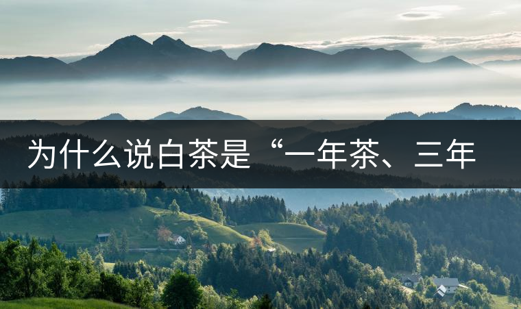 為什么說(shuō)白茶是“一年茶、三年藥、七年寶”?為什么說(shuō)白茶是“一年茶、三年藥、七年寶”？