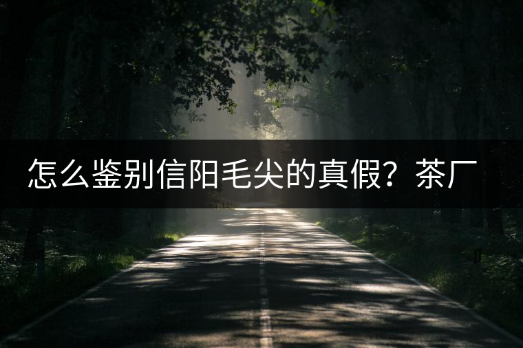 怎么鑒別信陽毛尖的真假？茶廠小姐姐親自告訴你茶葉的等級