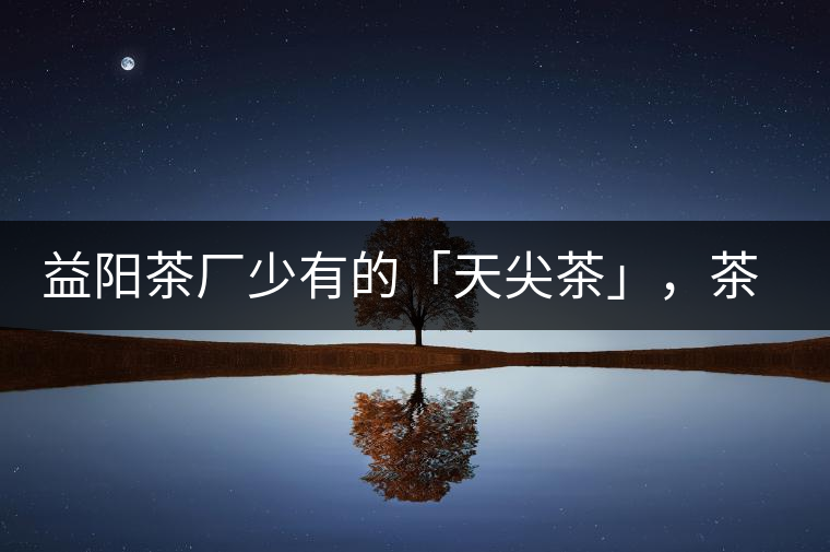 益陽茶廠少有的「天尖茶」，茶品升級，收藏趁早！