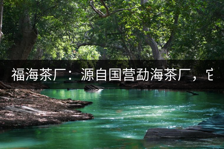 福海茶廠：源自國營勐海茶廠，它是99易武綠星星之母