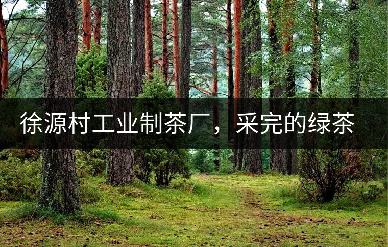 徐源村工業(yè)制茶廠，采完的綠茶都要拿到茶廠加工