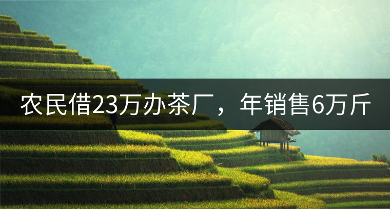 農(nóng)民借23萬(wàn)辦茶廠，年銷售6萬(wàn)斤，每天休息僅20分鐘!農(nóng)民借23萬(wàn)辦茶廠，年銷售6萬(wàn)斤，每天休息僅20分鐘！