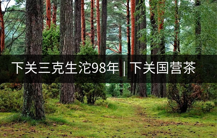 下關(guān)三克生沱98年 | 下關(guān)國營茶廠出口料，干倉儲(chǔ)存，...下關(guān)三克生沱98年 | 下關(guān)國營茶廠出口料，干倉儲(chǔ)存，19年老茶！
