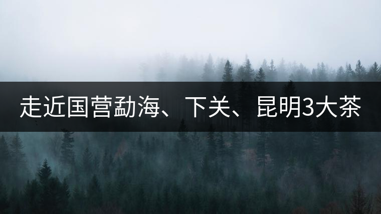 走近國營勐海、下關(guān)、昆明3大茶廠，傳世代表作的發(fā)展詳...走近國營勐海、下關(guān)、昆明3大茶廠，傳世代表作的發(fā)展詳解