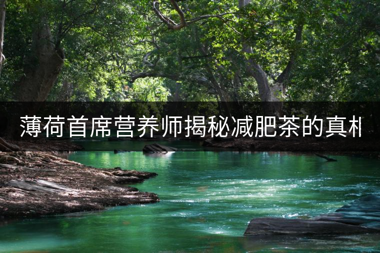 薄荷首席營養(yǎng)師揭秘減肥茶的真相！