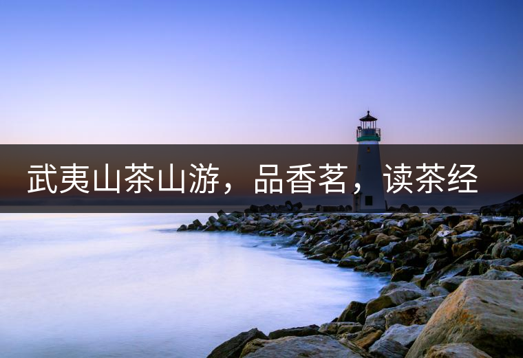 武夷山茶山游，品香茗，讀茶經(jīng)，賞茶景，學(xué)茶歷史!武夷山茶山游，品香茗，讀茶經(jīng)，賞茶景，學(xué)茶歷史！