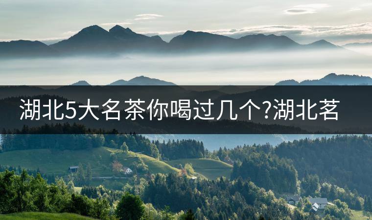 湖北5大名茶你喝過幾個?湖北茗茶的歷史故事?湖北茶哪...湖北5大名茶你喝過幾個？湖北茗茶的歷史故事？湖北茶哪個產(chǎn)地好