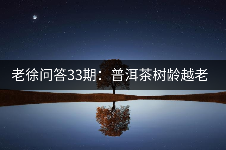 老徐問答33期：普洱茶樹齡越老越貴，那100年樹齡的老班章呢？