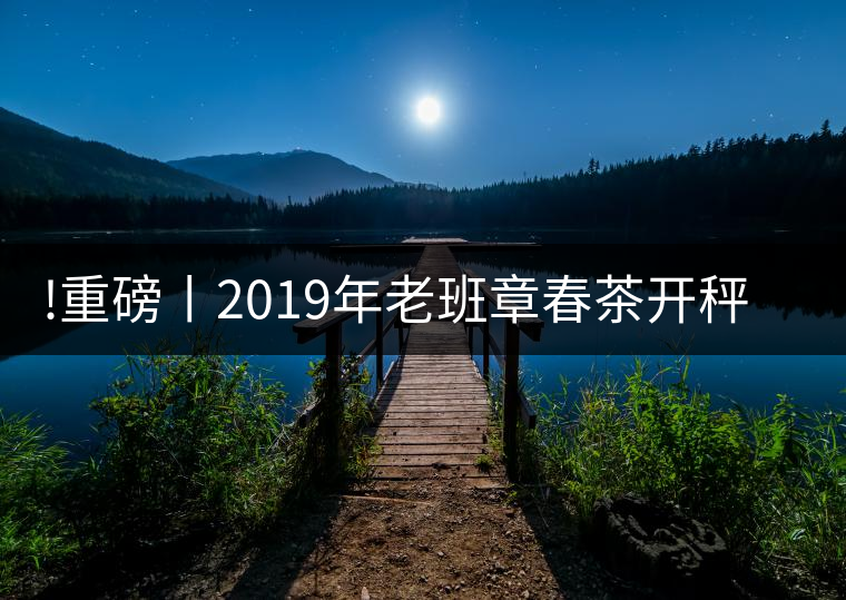 !重磅丨2019年老班章春茶開秤，一筆定價(jià)？如此出人意料！