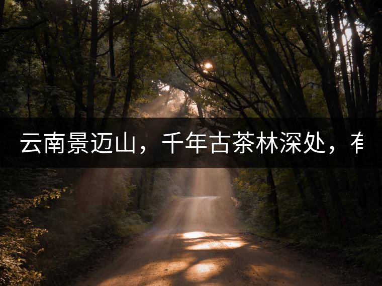 云南景邁山，千年古茶林深處，有一座世外桃源般的糯...云南景邁山，千年古茶林深處，有一座世外桃源般的糯干古寨