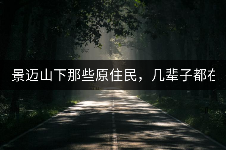 景邁山下那些原住民，幾輩子都在采茶、制茶，才有最...景邁山下那些原住民，幾輩子都在采茶、制茶，才有最好喝的普洱