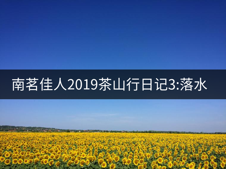 南茗佳人2019茶山行日記3:落水洞--200多年建村歷史，...南茗佳人2019茶山行日記3：落水洞——200多年建村歷史，靈動(dòng)清越