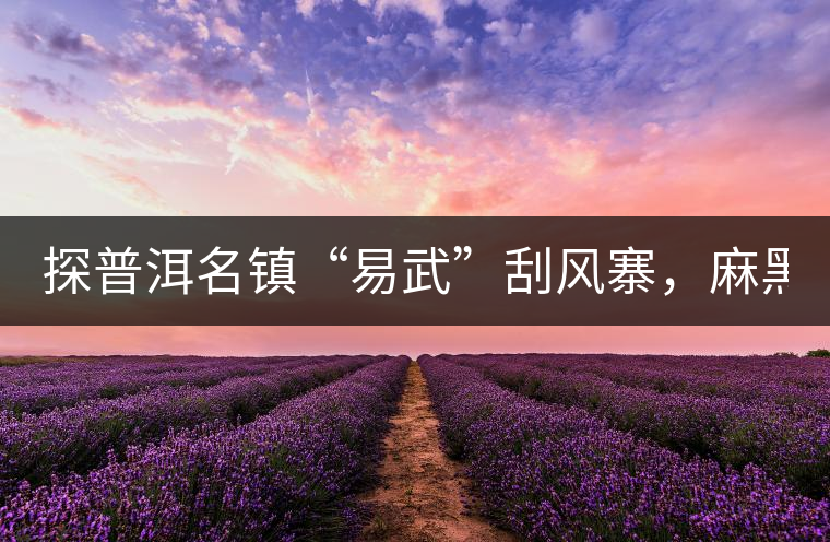 探普洱名鎮(zhèn)“易武”刮風(fēng)寨，麻黑，落水洞!小編親自下...探普洱名鎮(zhèn)“易武”刮風(fēng)寨，麻黑，落水洞！小編親自下手“殺青”