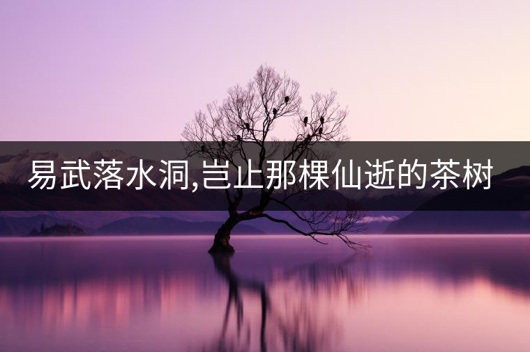 易武落水洞,豈止那棵仙逝的茶樹王?易武落水洞,豈止那棵仙逝的茶樹王？