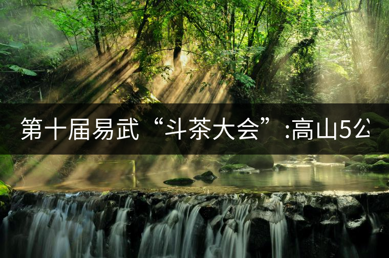 第十屆易武“斗茶大會”:高山5公斤15萬，刮風(fēng)寨5公斤...第十屆易武“斗茶大會”：高山5公斤15萬，刮風(fēng)寨5公斤30萬...