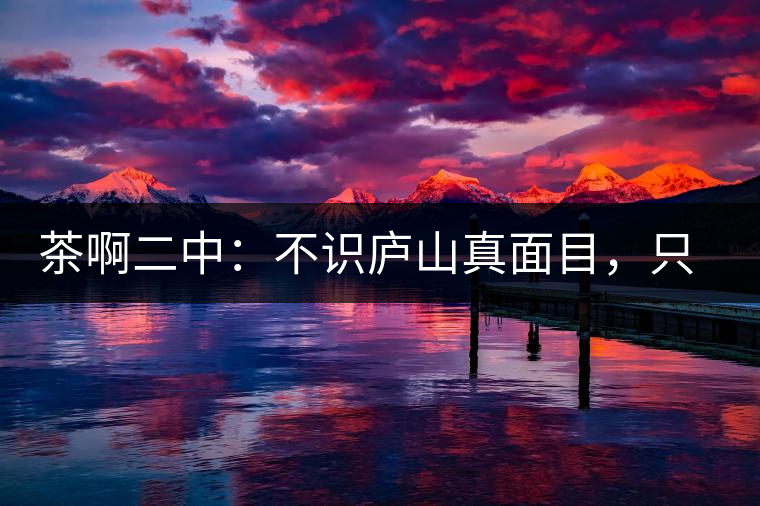 茶啊二中：不識(shí)廬山真面目，只識(shí)彎弓射大雕，賈淳真搞笑