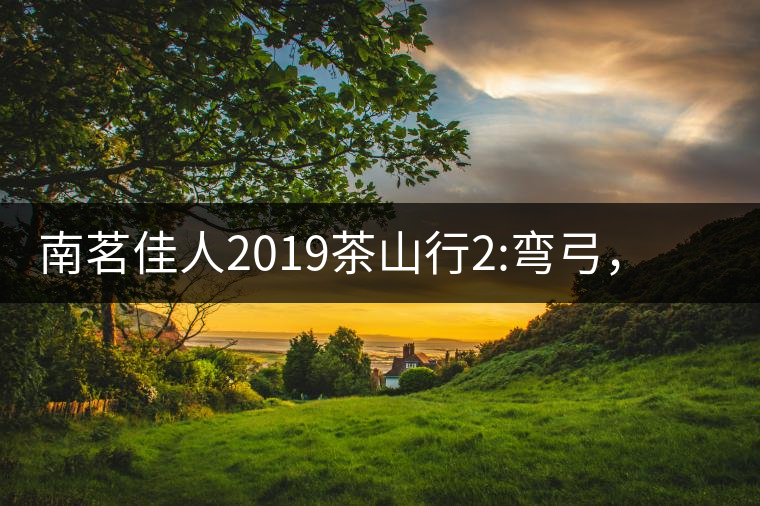 南茗佳人2019茶山行2:彎弓，一路艱辛，只為這有生命...南茗佳人2019茶山行2：彎弓，一路艱辛，只為這有生命厚度的茶！