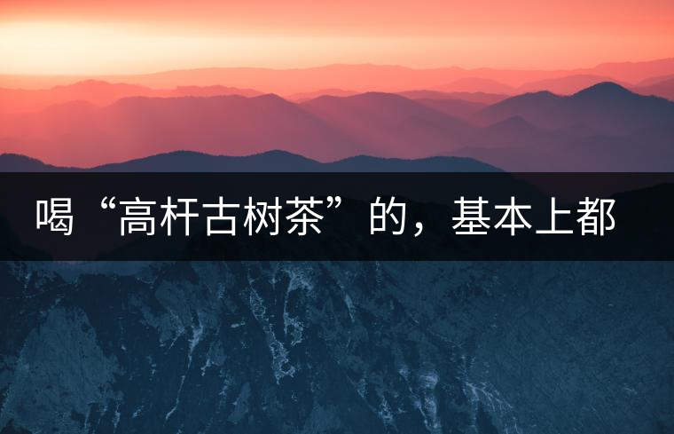 喝“高桿古樹茶”的，基本上都是不懂茶的