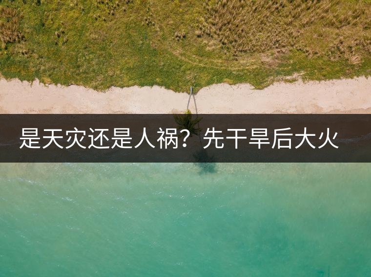 是天災(zāi)還是人禍？先干旱后大火，普洱茶將何去何從？