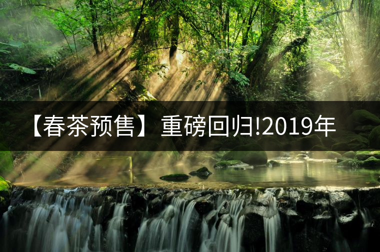 【春茶預售】重磅回歸!2019年春茶一招制勝的秘密--天門...【春茶預售】重磅回歸！2019年春茶一招制勝的秘密——天門山