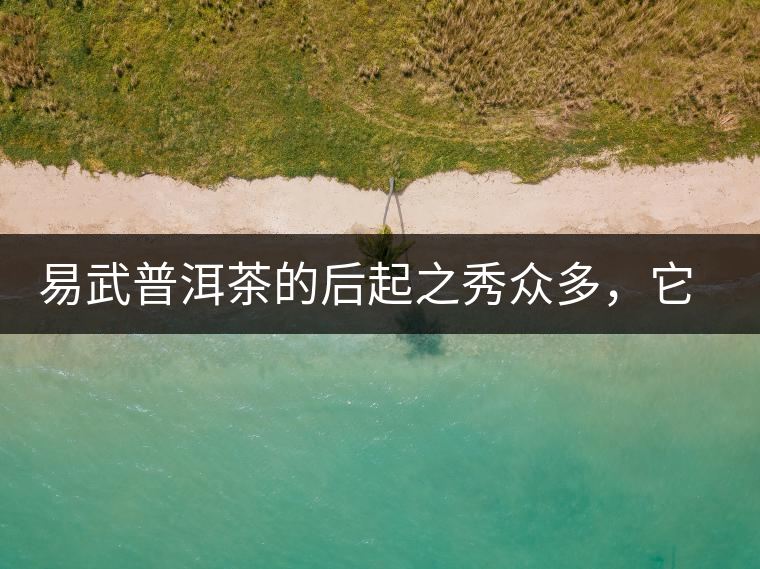 易武普洱茶的后起之秀眾多，它是還沒漲價的一個！