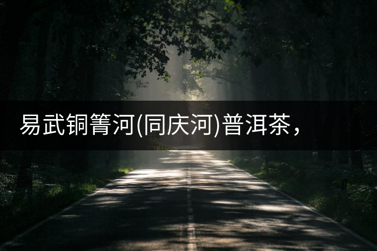 易武銅箐河(同慶河)普洱茶，讓我拜倒的不止它的口感易武銅箐河（同慶河）普洱茶，讓我拜倒的不止它的口感