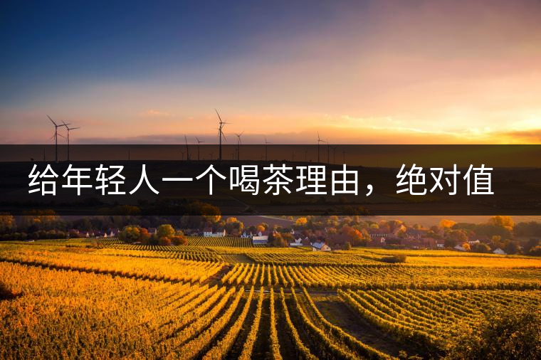 給年輕人一個喝茶理由，絕對值得收藏的茶葉包裝給年輕人一個喝茶理由，絕對值得收藏的茶葉包裝