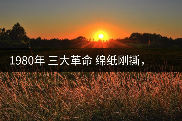 1980年 三大革命 綿紙剛撕，品相極好，整體干凈漂亮1980年 三大革命 綿紙剛撕，品相極好，整體干凈漂亮