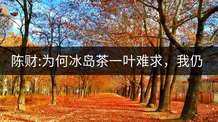 陳財:為何冰島茶一葉難求，我仍然堅持