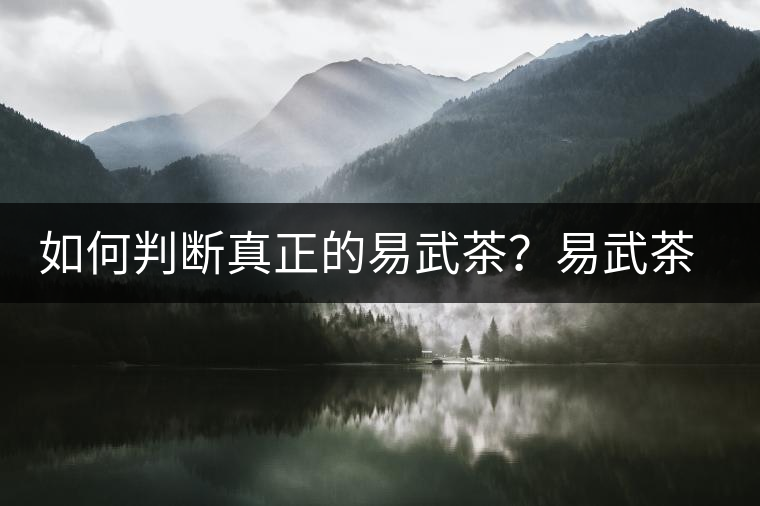 如何判斷真正的易武茶？易武茶有哪些特點(diǎn)？