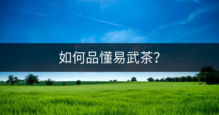 如何品懂易武茶？