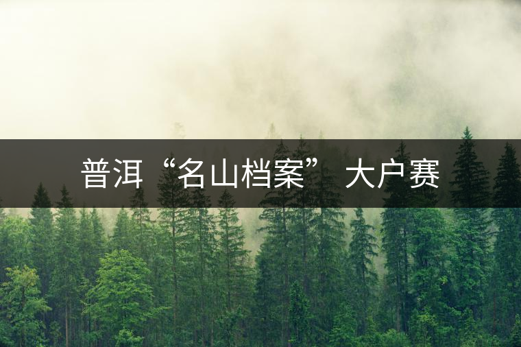 普洱“名山檔案” 大戶賽 普洱“名山檔案” 大戶賽