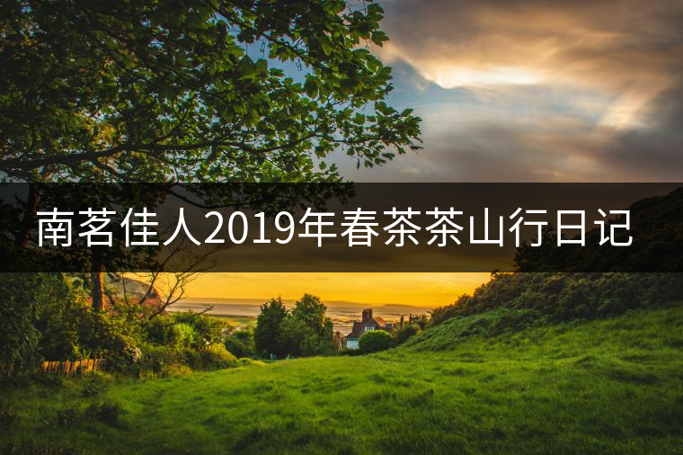 南茗佳人2019年春茶茶山行日記17:小戶賽，賽冰島!南茗佳人2019年春茶茶山行日記17：小戶賽，賽冰島！