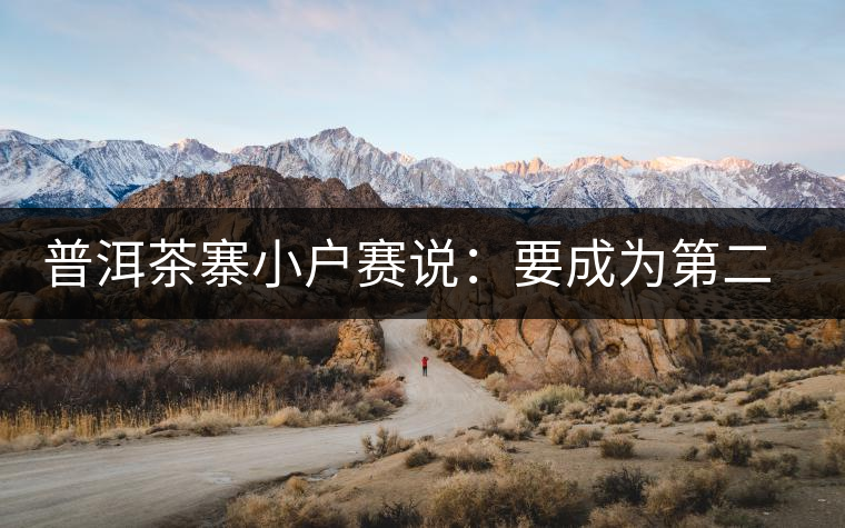 普洱茶寨小戶賽說：要成為第二個冰島，勐庫普洱茶圈都爆了！