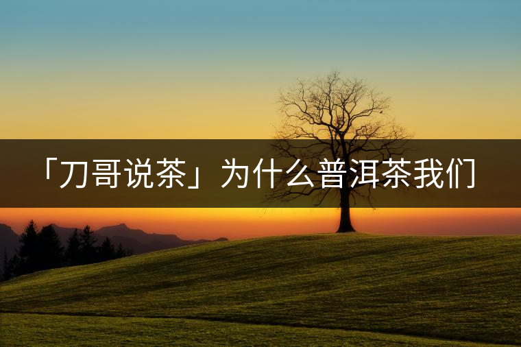 「刀哥說(shuō)茶」為什么普洱茶我們情愿選三無(wú)？