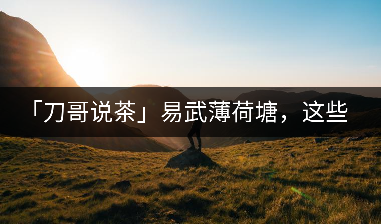 「刀哥說茶」易武薄荷塘，這些冷知識(shí)你該知道