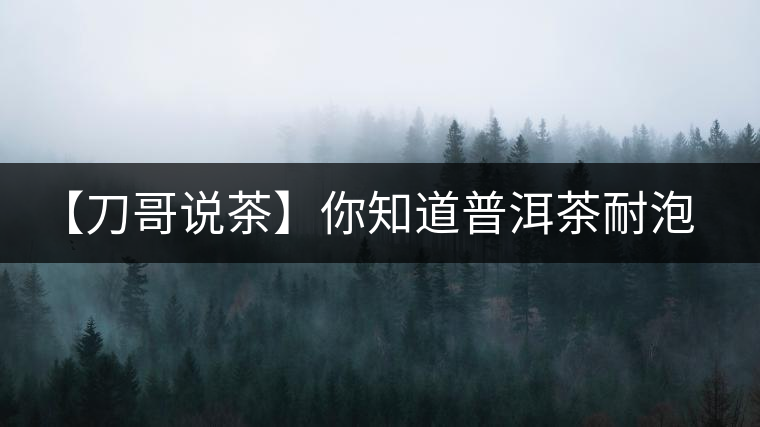 【刀哥說茶】你知道普洱茶耐泡，那你知道哪一類普洱茶比較耐泡？