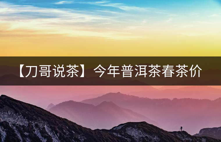 【刀哥說茶】今年普洱茶春茶價(jià)格，我不預(yù)測