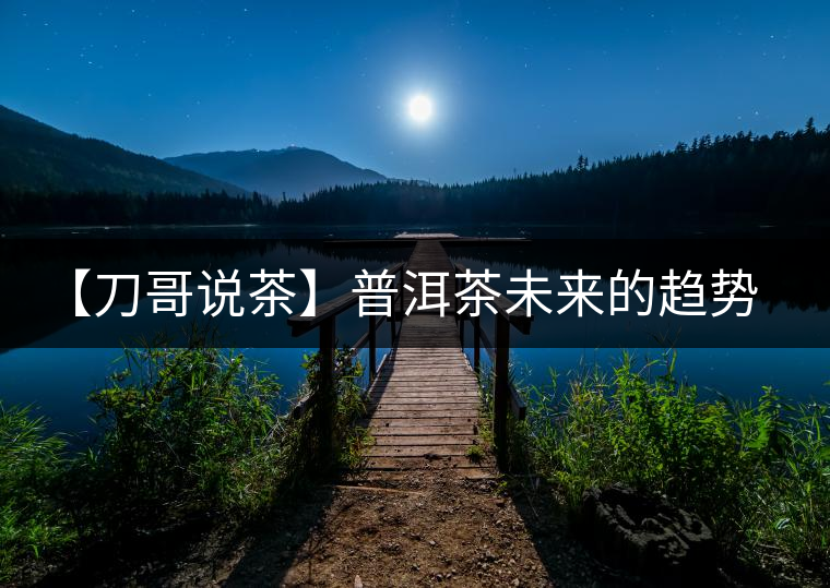 【刀哥說茶】普洱茶未來的趨勢，我看好熟茶