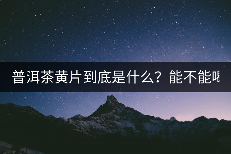 普洱茶黃片到底是什么？能不能喝？