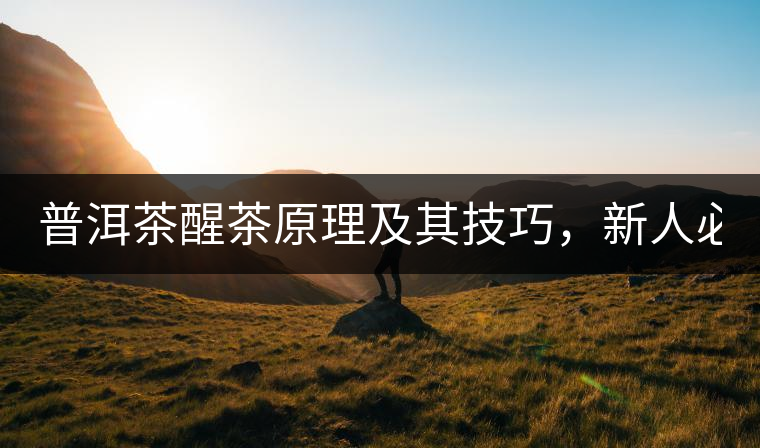 普洱茶醒茶原理及其技巧，新人必備！