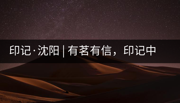 印記·沈陽 | 有茗有信，印記中茶，中茶普洱亮相沈陽茶博會