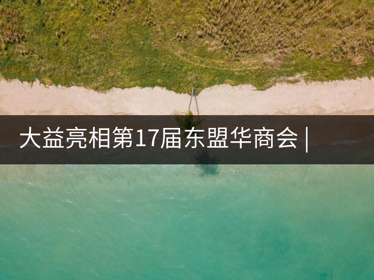 大益亮相第17屆東盟華商會(huì) | 海內(nèi)外嘉賓共謀發(fā)展，共品大益茶