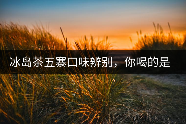 冰島茶五寨口味辨別，你喝的是正宗冰島茶嗎?冰島茶五寨口味辨別，你喝的是正宗冰島茶嗎？